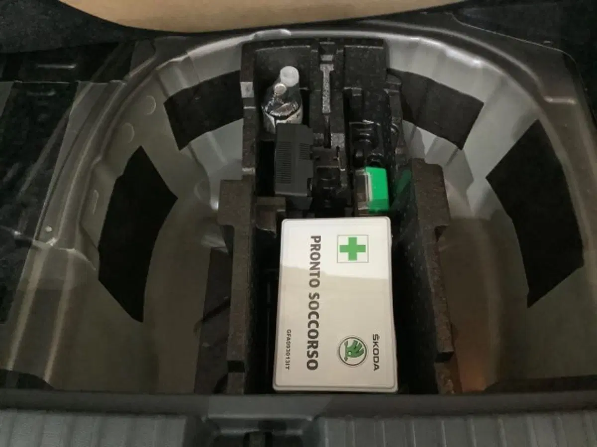 Skoda Kamiq usata a Catania (13)