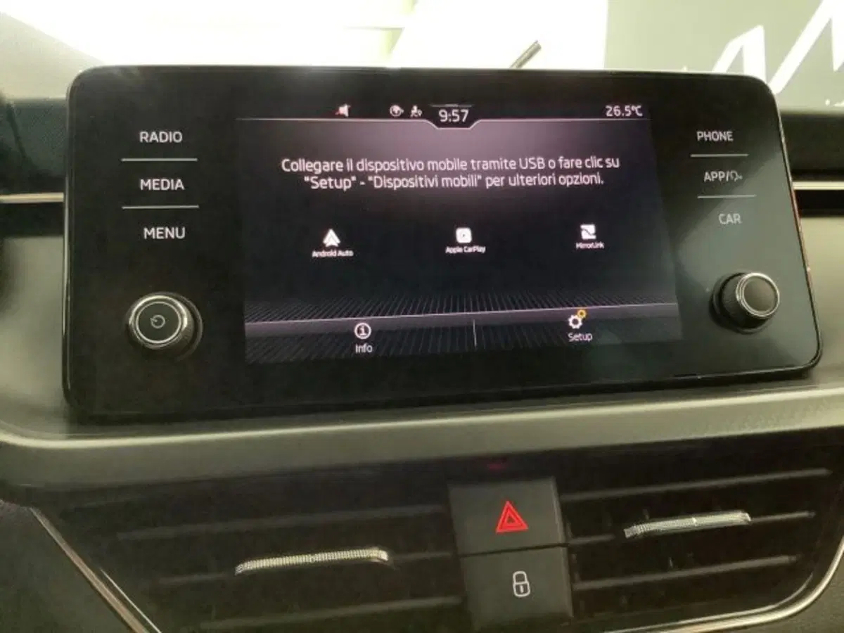 Skoda Kamiq usata a Catania (16)