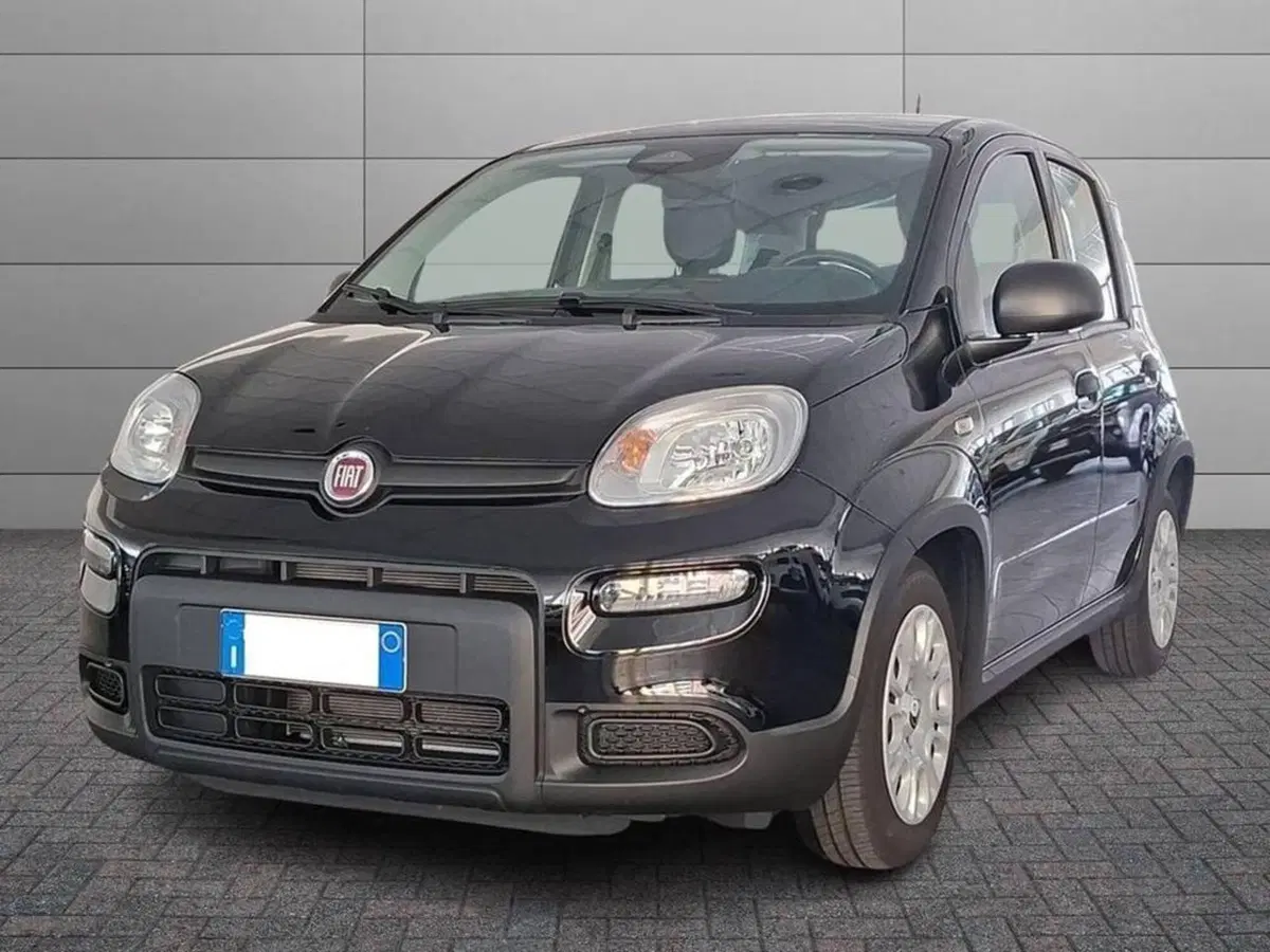 Fiat Panda Cross usata a Torino