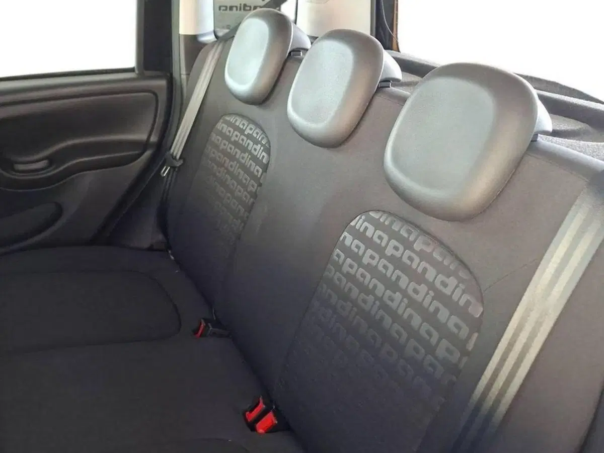 Fiat Panda Cross usata a Torino (11)