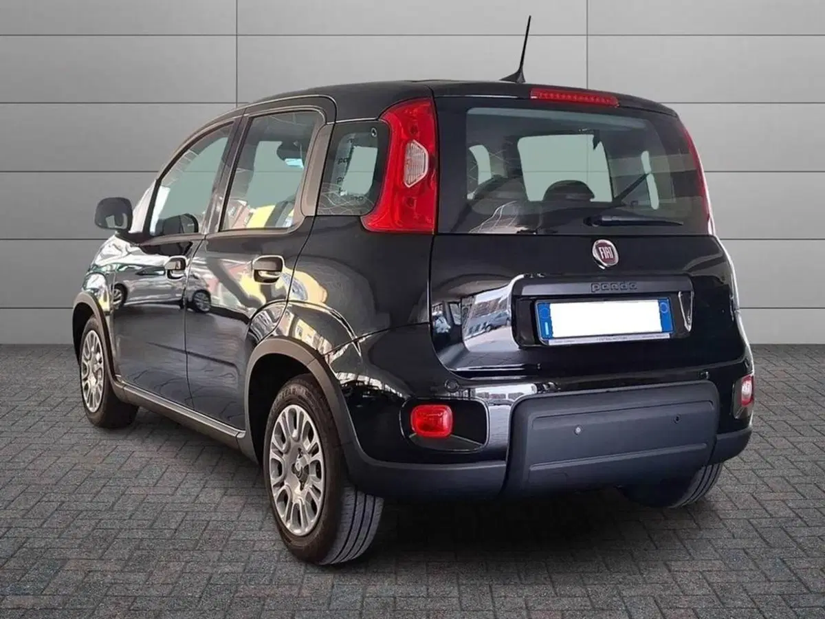 Fiat Panda Cross usata a Torino (2)