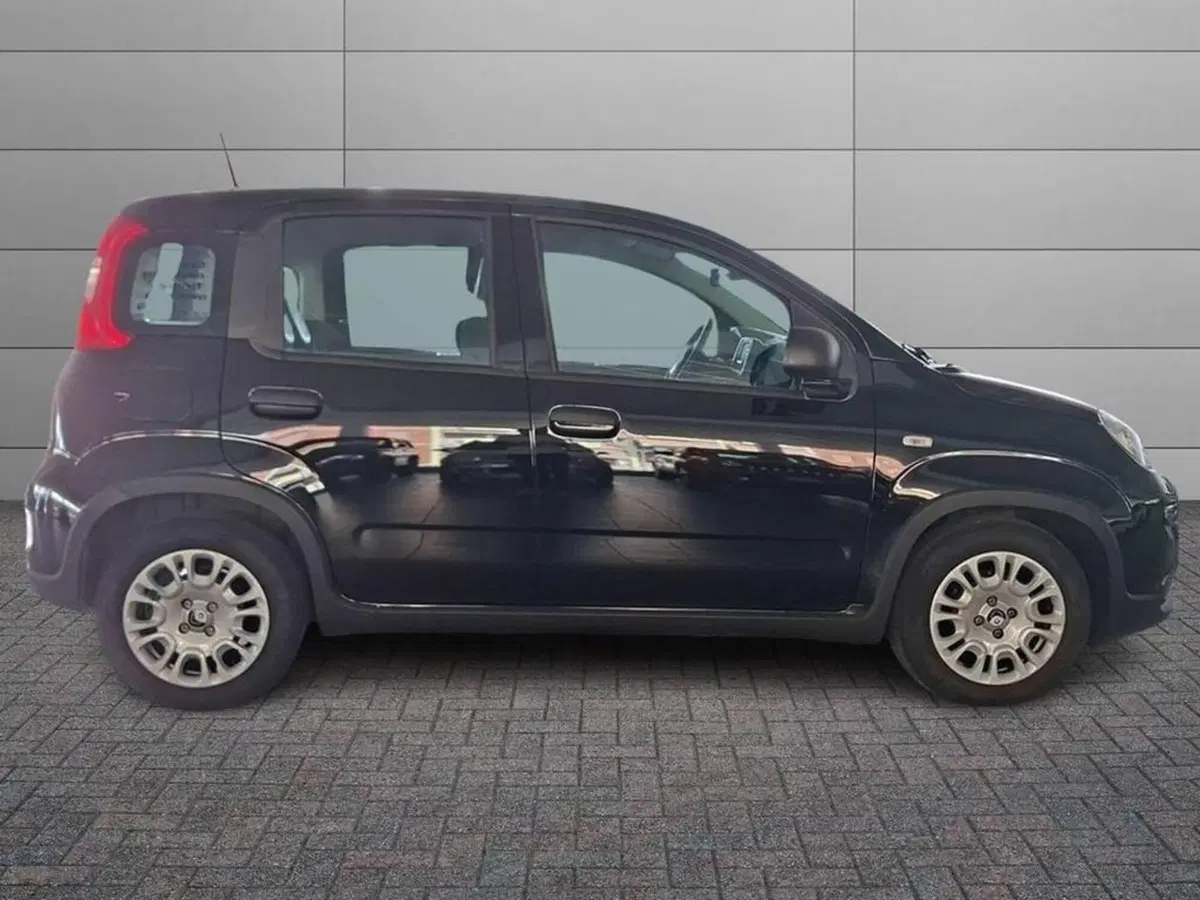 Fiat Panda Cross usata a Torino (3)
