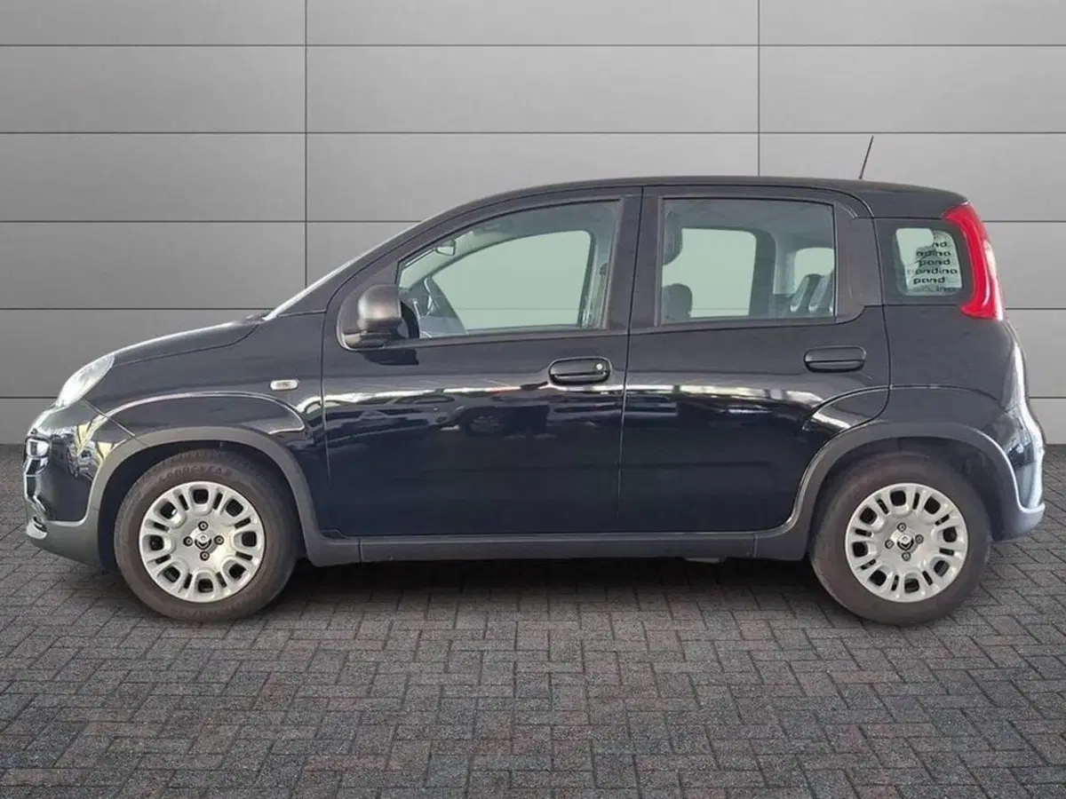 Fiat Panda Cross usata a Torino (4)