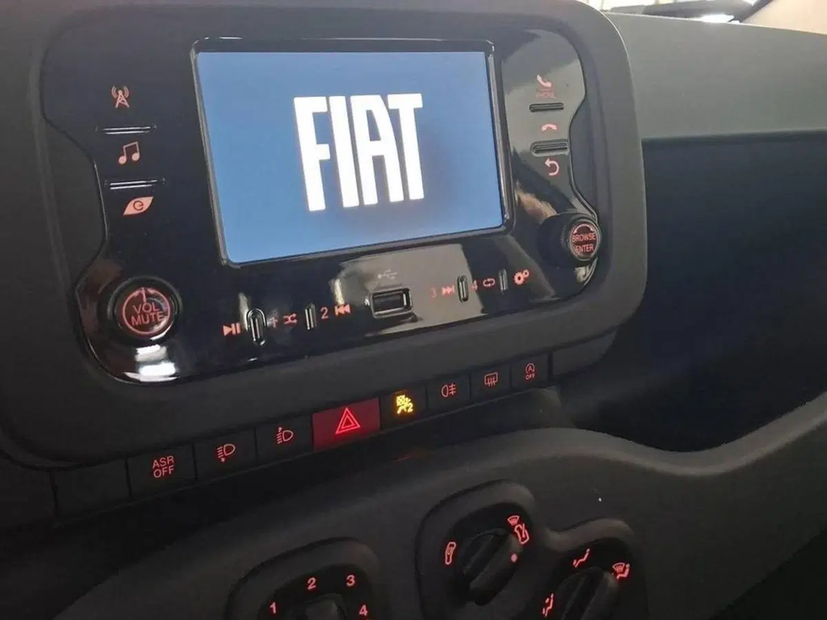 Fiat Panda Cross usata a Torino (7)