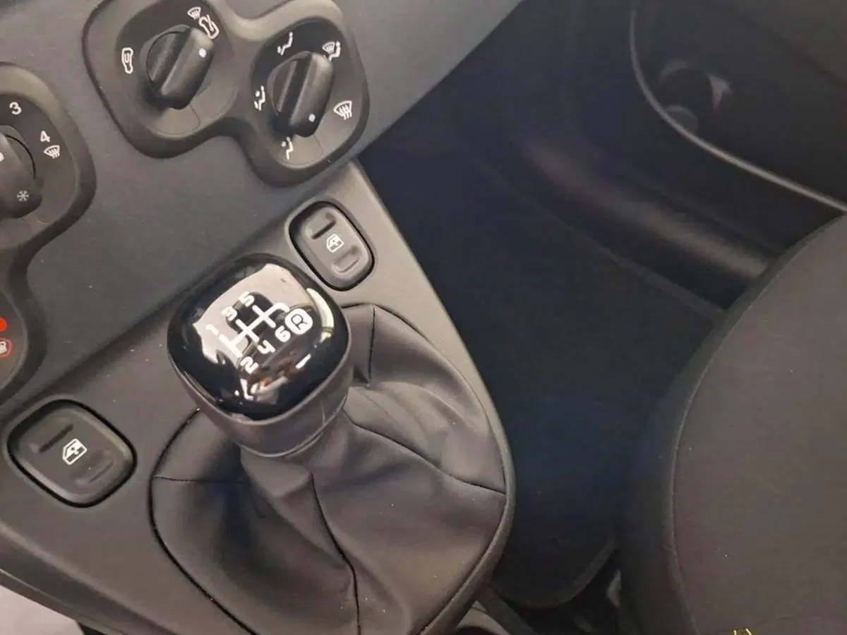 Fiat Panda Cross usata a Torino (8)