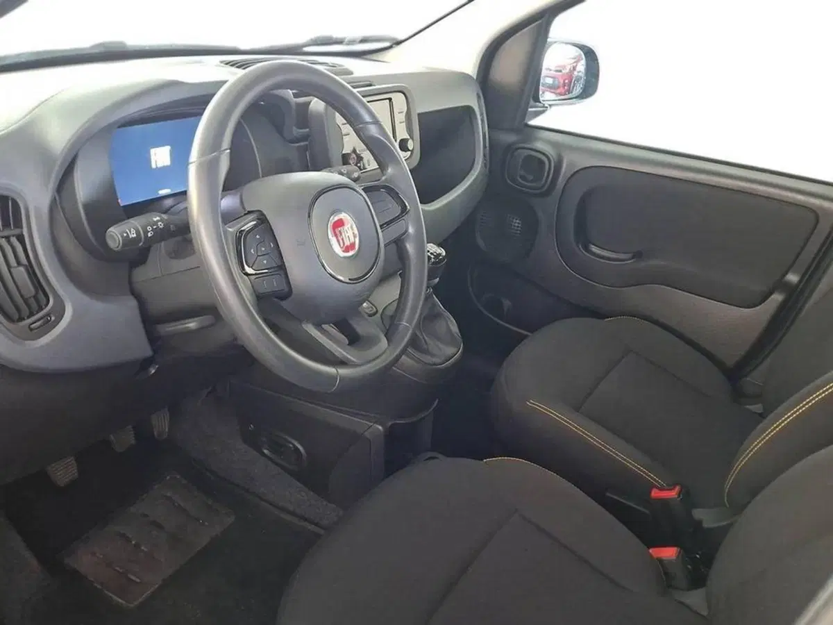 Fiat Panda Cross usata a Torino (9)