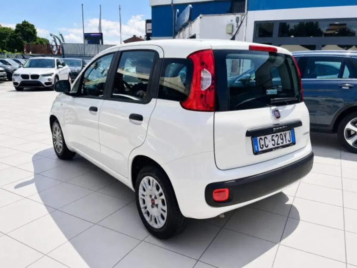 Fiat Panda usata a Firenze (4)