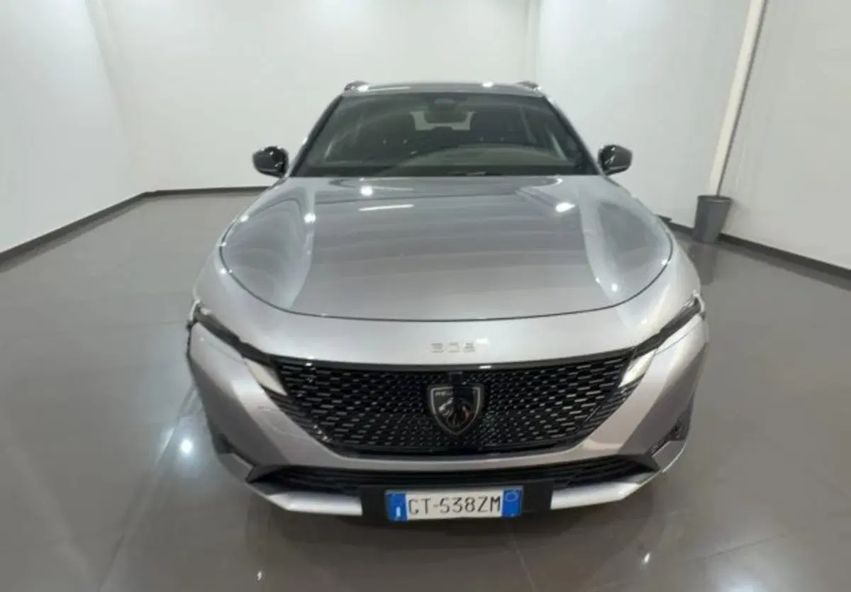 Peugeot 308 SW usata a Firenze (2)