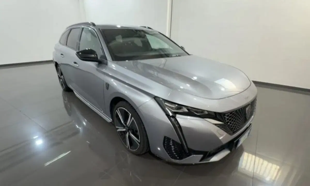 Peugeot 308 SW usata a Firenze (3)