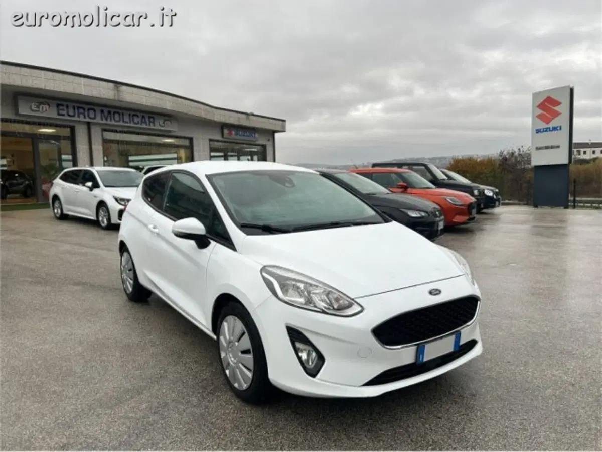 Ford Fiesta usata a Campobasso