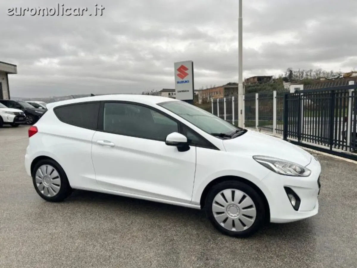 Ford Fiesta usata a Campobasso (3)