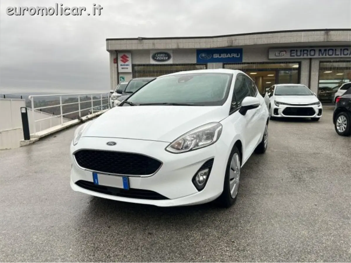 Ford Fiesta usata a Campobasso (5)