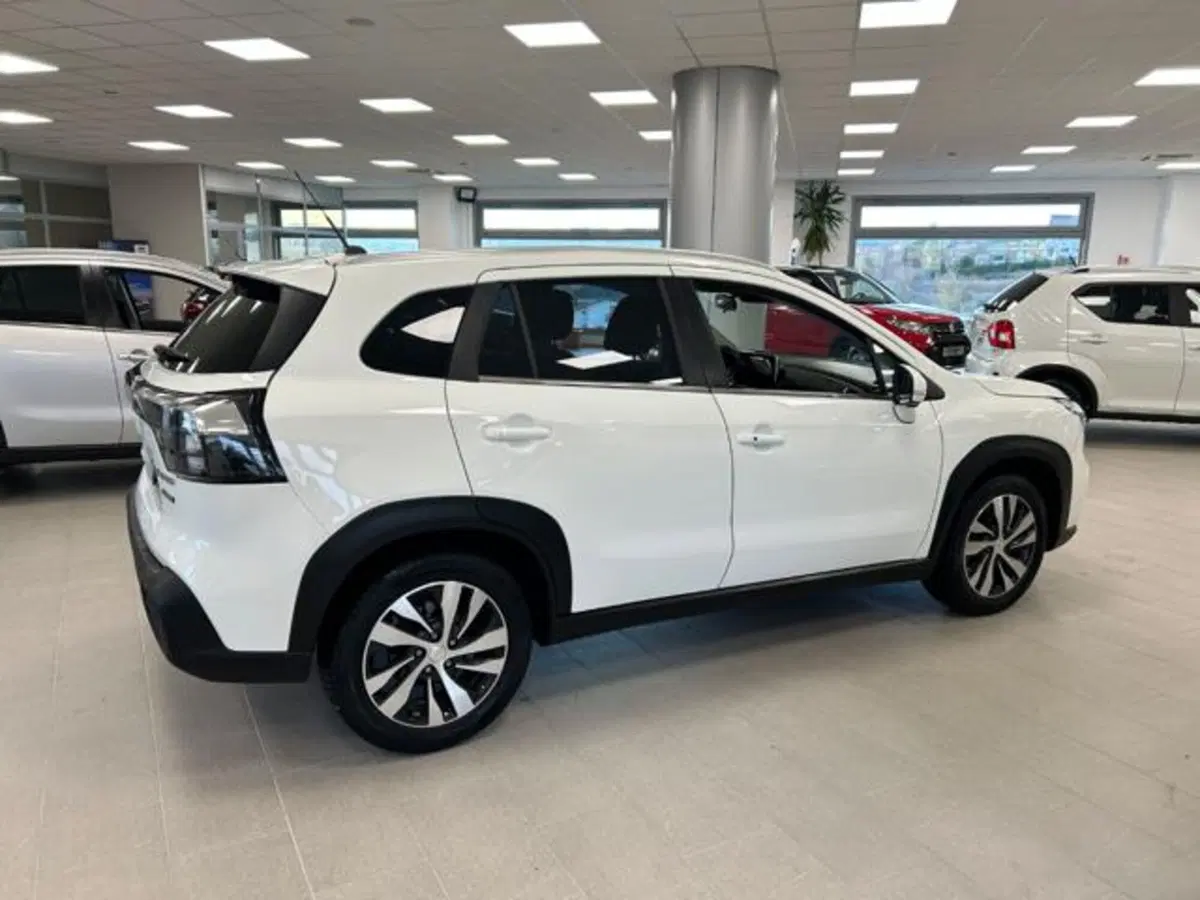 Suzuki S-Cross usata a Campobasso (13)