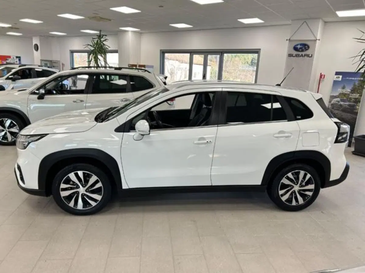 Suzuki S-Cross usata a Campobasso (2)