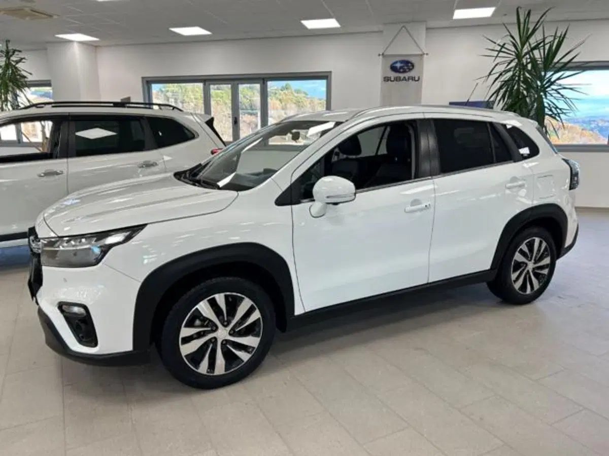 Suzuki S-Cross usata a Campobasso (3)