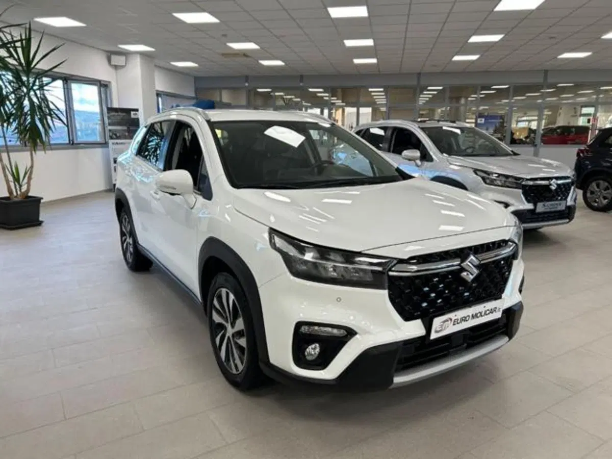 Suzuki S-Cross usata a Campobasso (4)