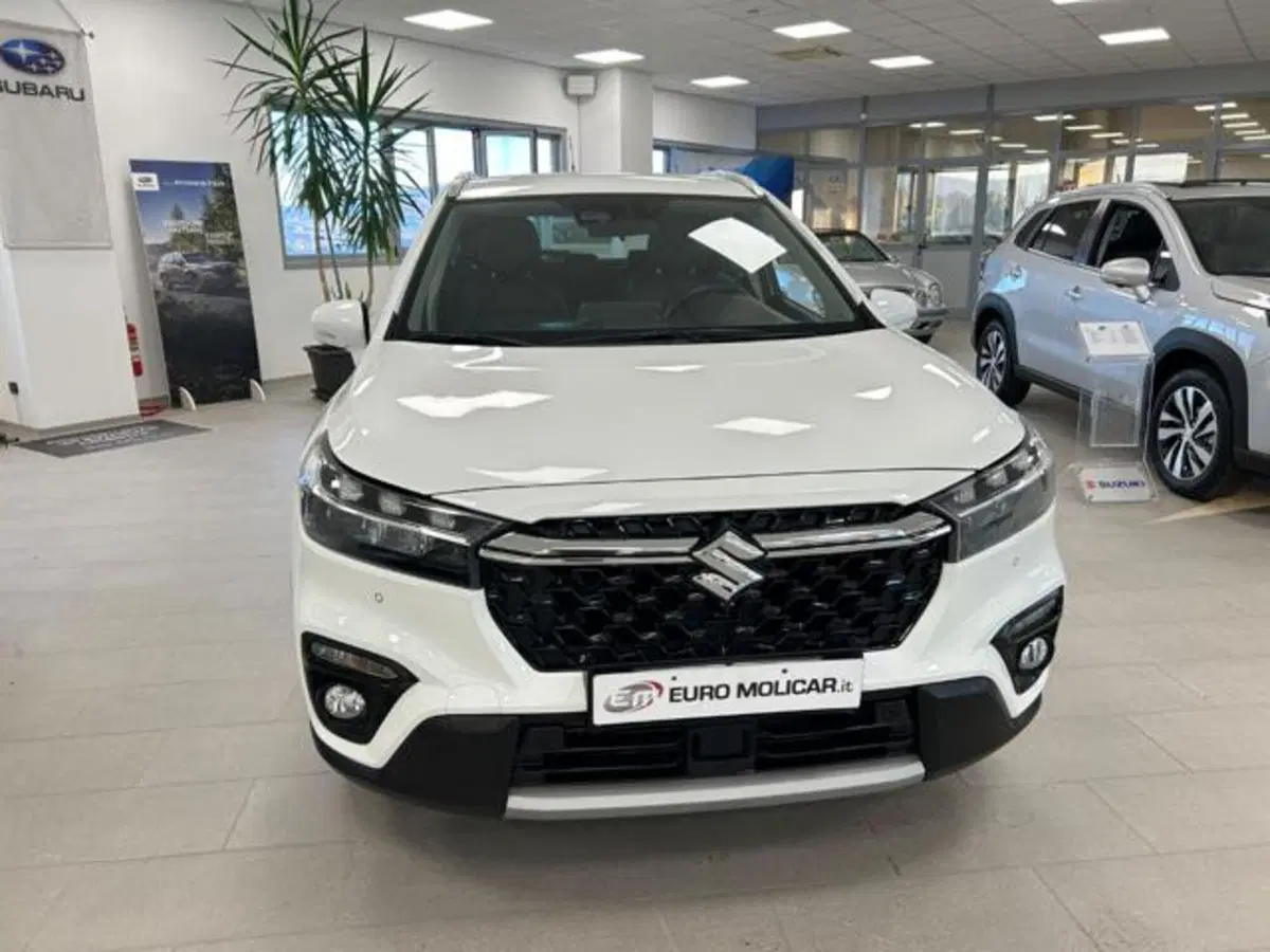 Suzuki S-Cross usata a Campobasso (7)