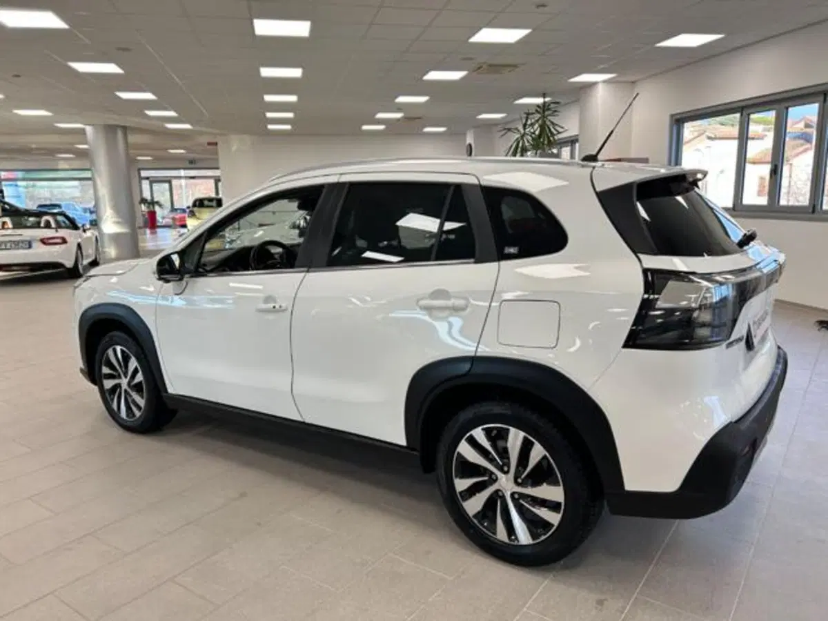 Suzuki S-Cross usata a Campobasso (8)