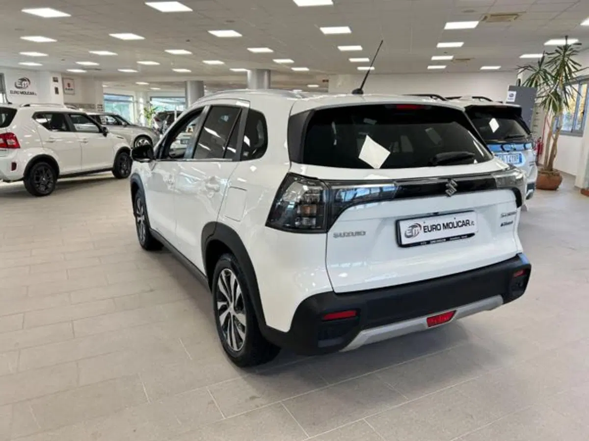 Suzuki S-Cross usata a Campobasso (9)