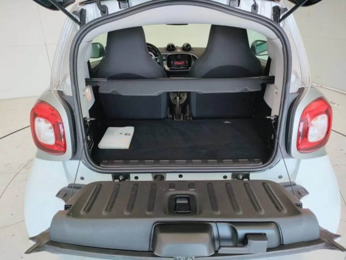 smart Fortwo usata a Teramo (6)
