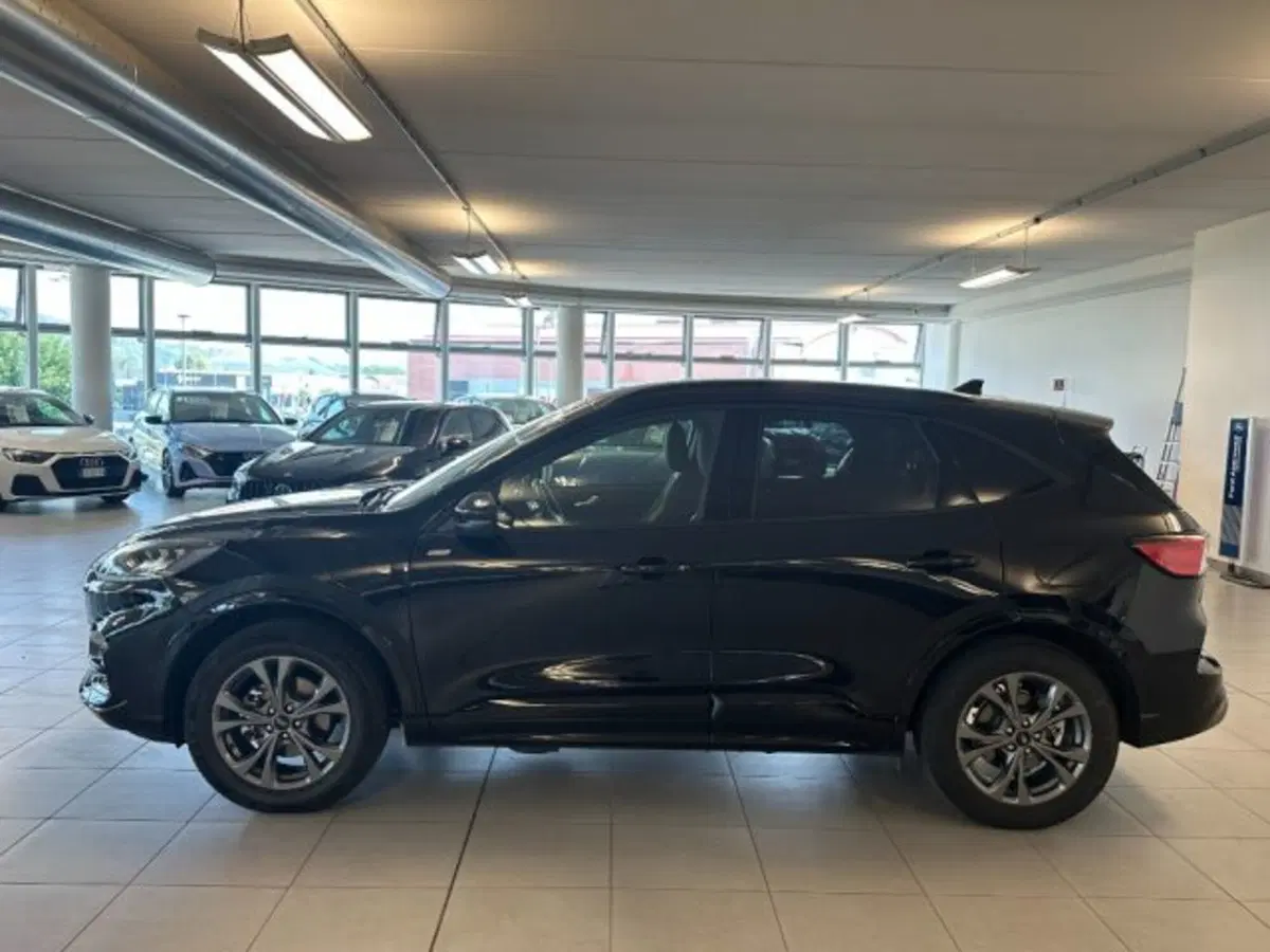 Ford Kuga usata a Cuneo (8)