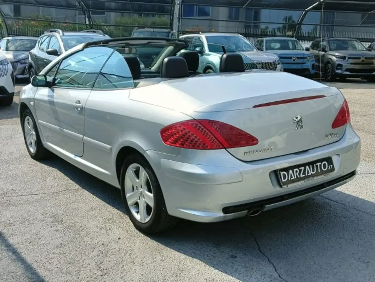 Peugeot 307 Cabrio usata a Brescia (20)