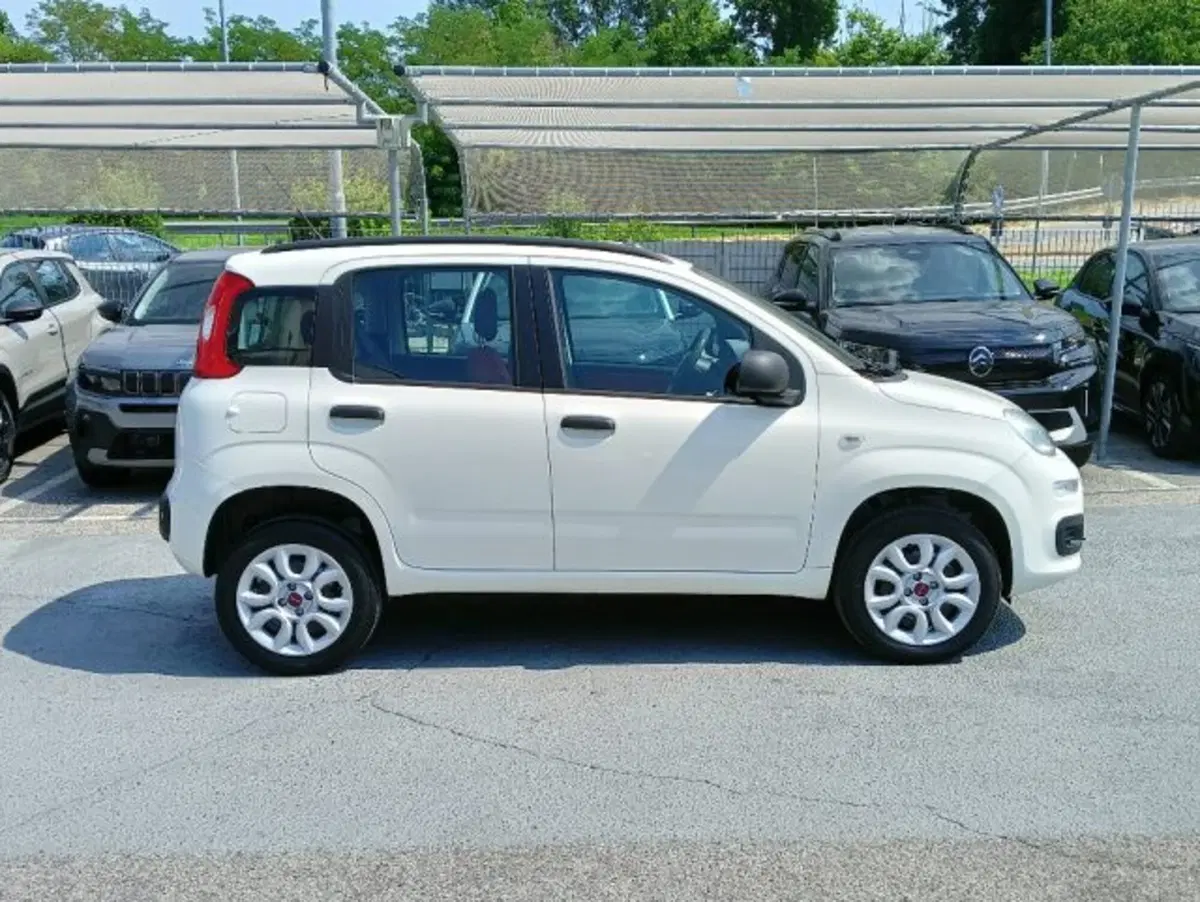 Fiat Panda usata a Brescia (4)