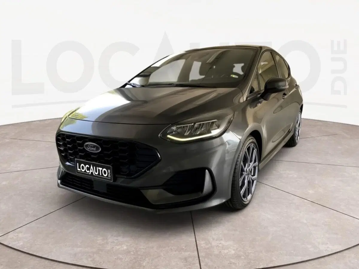 Ford Fiesta usata a Torino