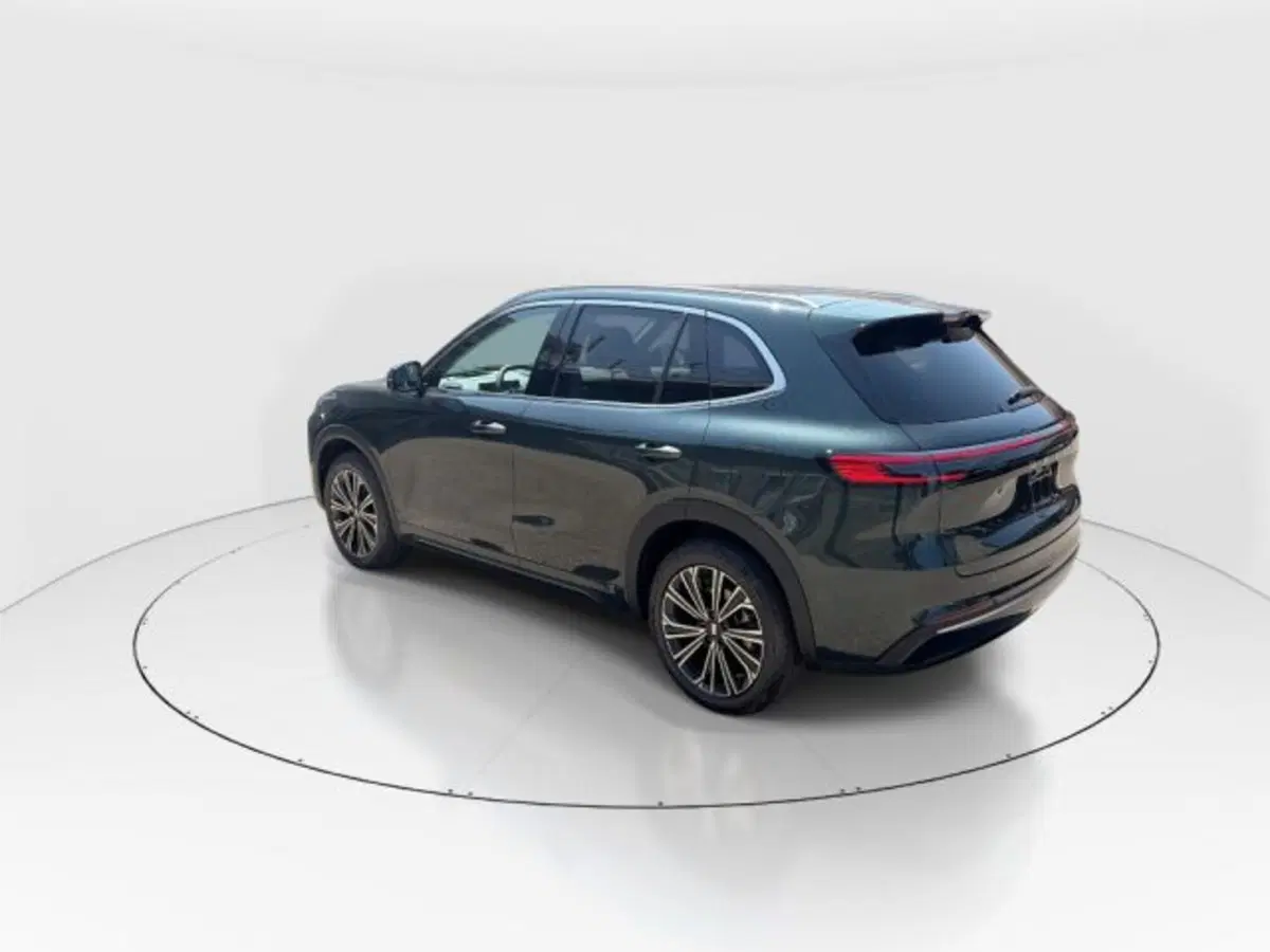 Geely Starray usata a Modena (5)