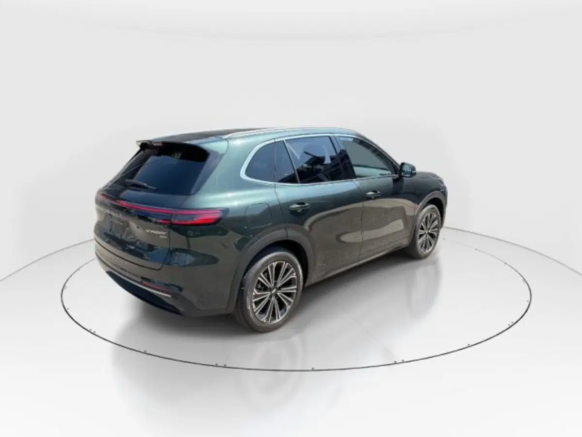 Geely Starray usata a Modena (7)