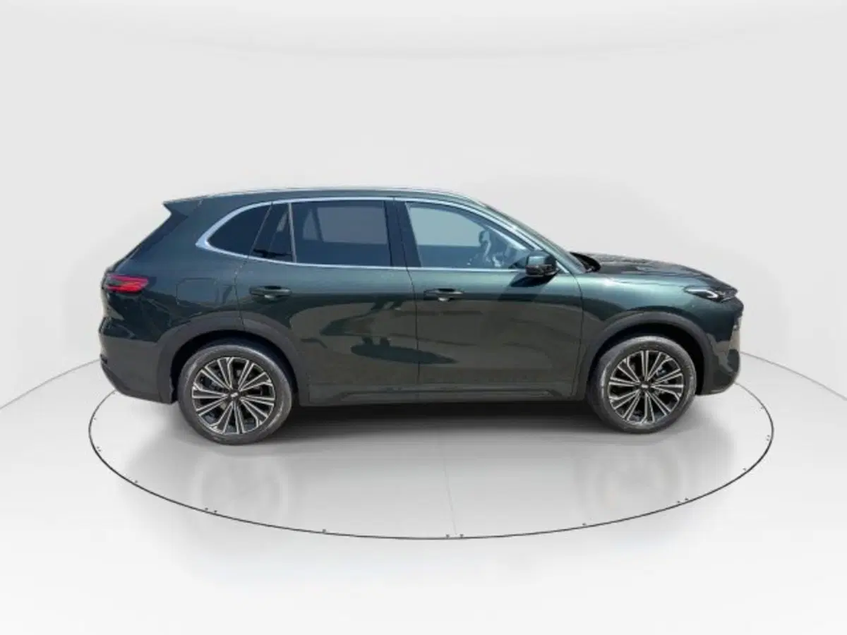 Geely Starray usata a Modena (8)