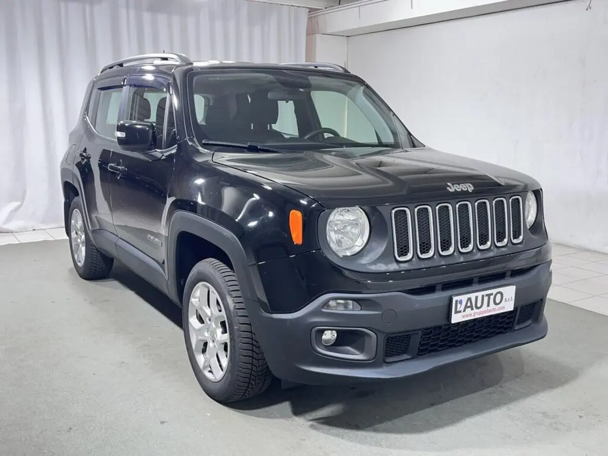 Jeep Renegade usata a Sondrio (7)