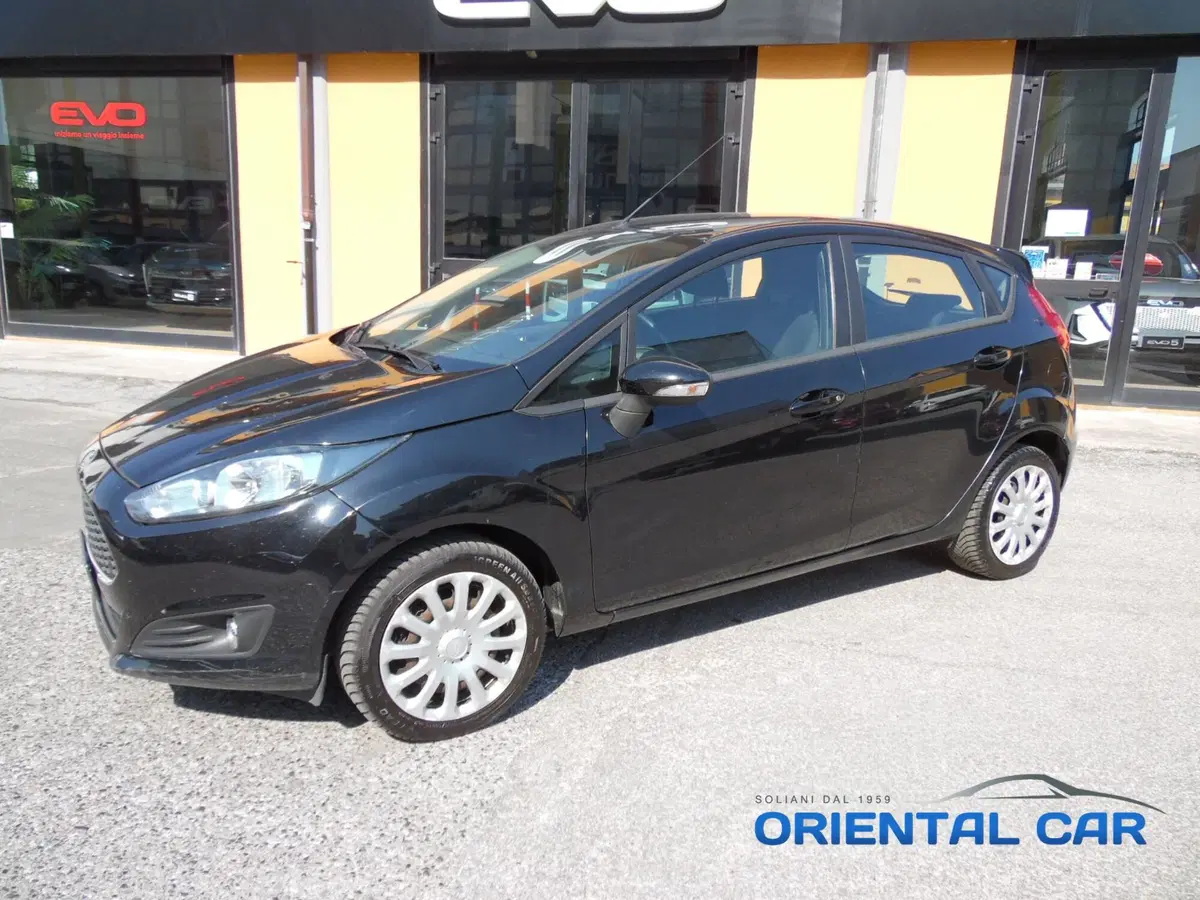 Ford Fiesta usata a La Spezia