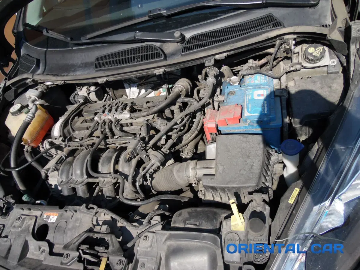 Ford Fiesta usata a La Spezia (15)