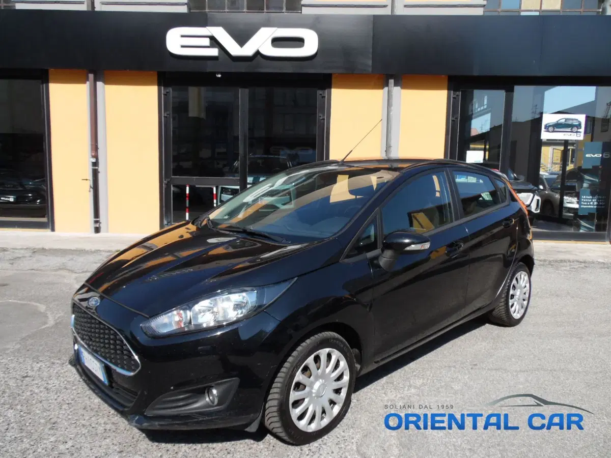 Ford Fiesta usata a La Spezia (18)