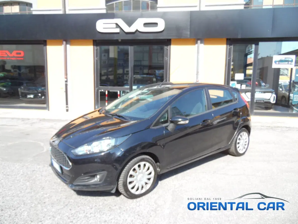 Ford Fiesta usata a La Spezia (20)