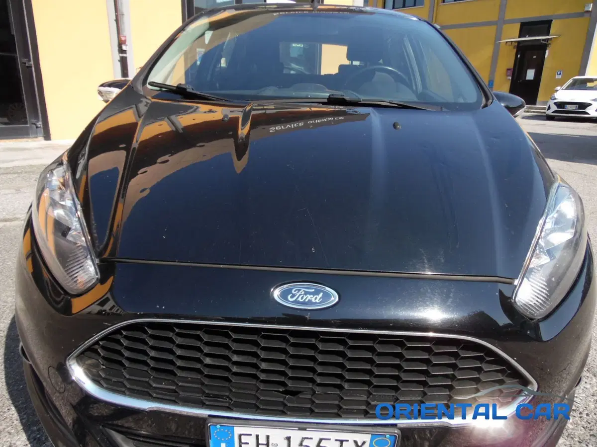 Ford Fiesta usata a La Spezia (4)