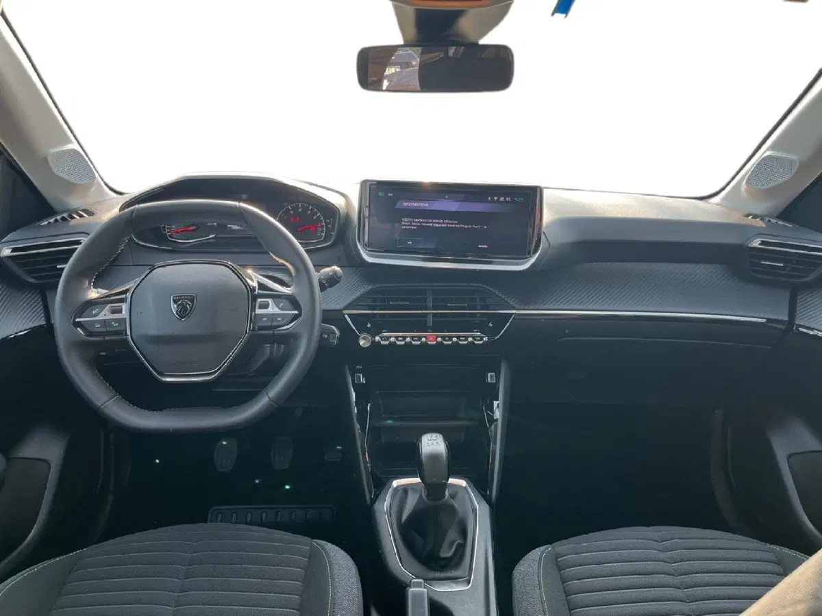 Peugeot 208 usata a Torino (10)