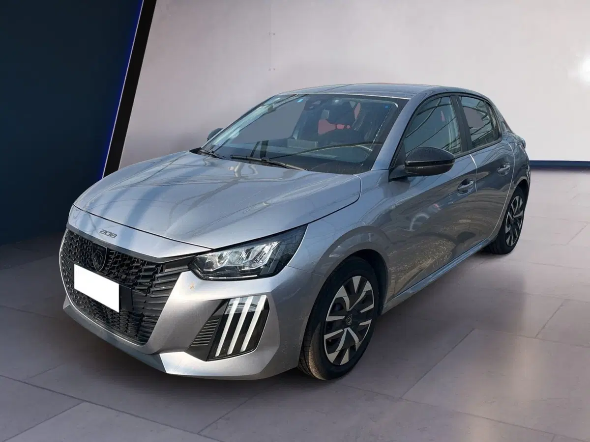 Peugeot 208 usata a Torino (2)