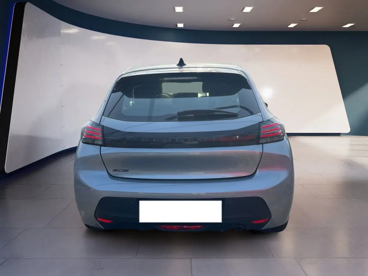 Peugeot 208 usata a Torino (5)