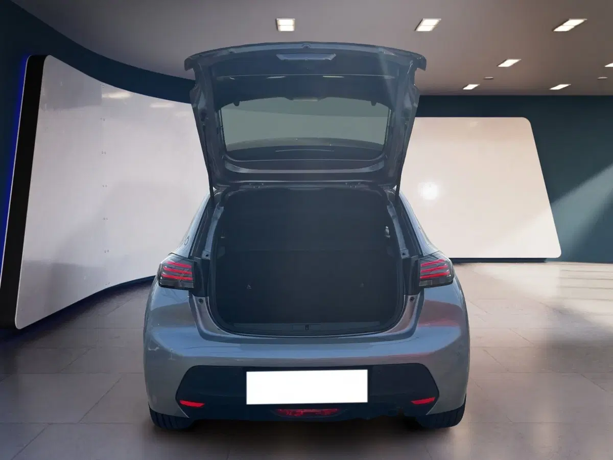 Peugeot 208 usata a Torino (7)