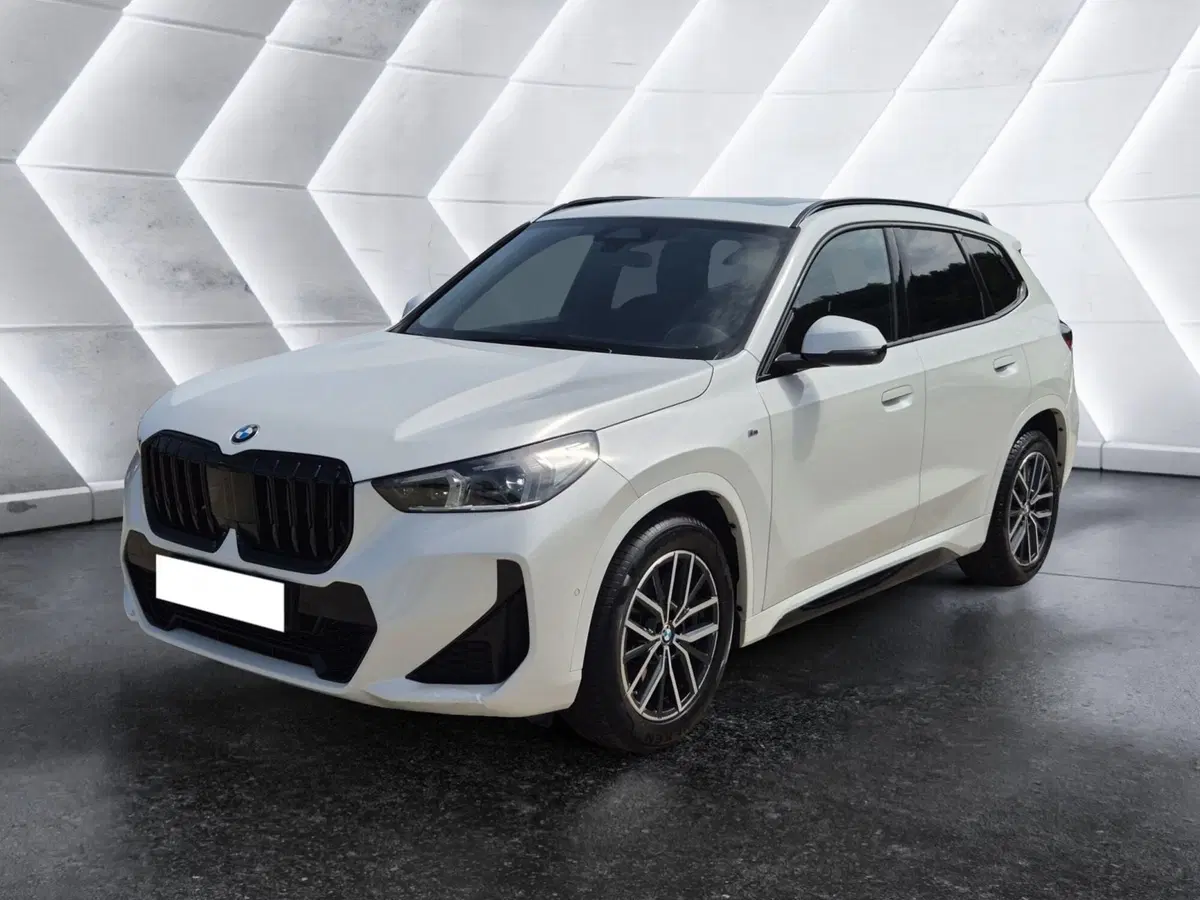 BMW X1 usata 