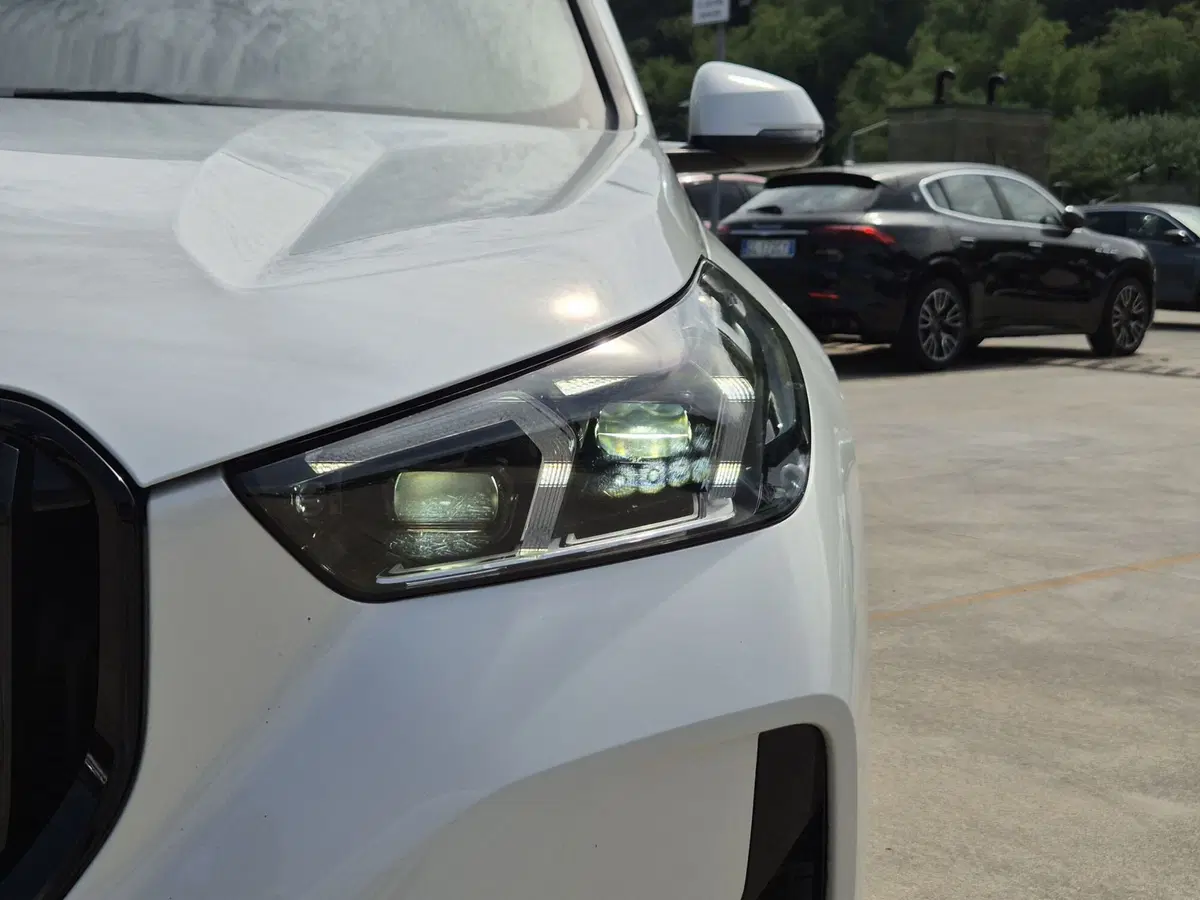 BMW X1 usata  (18)
