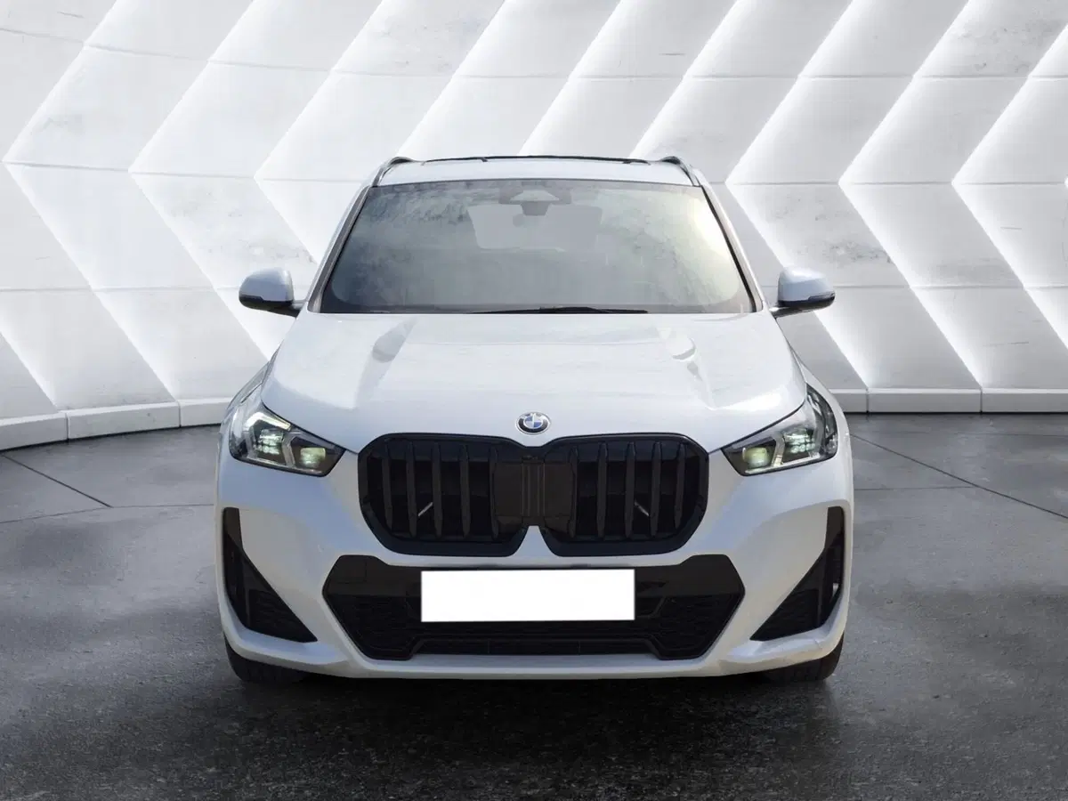 BMW X1 usata  (2)