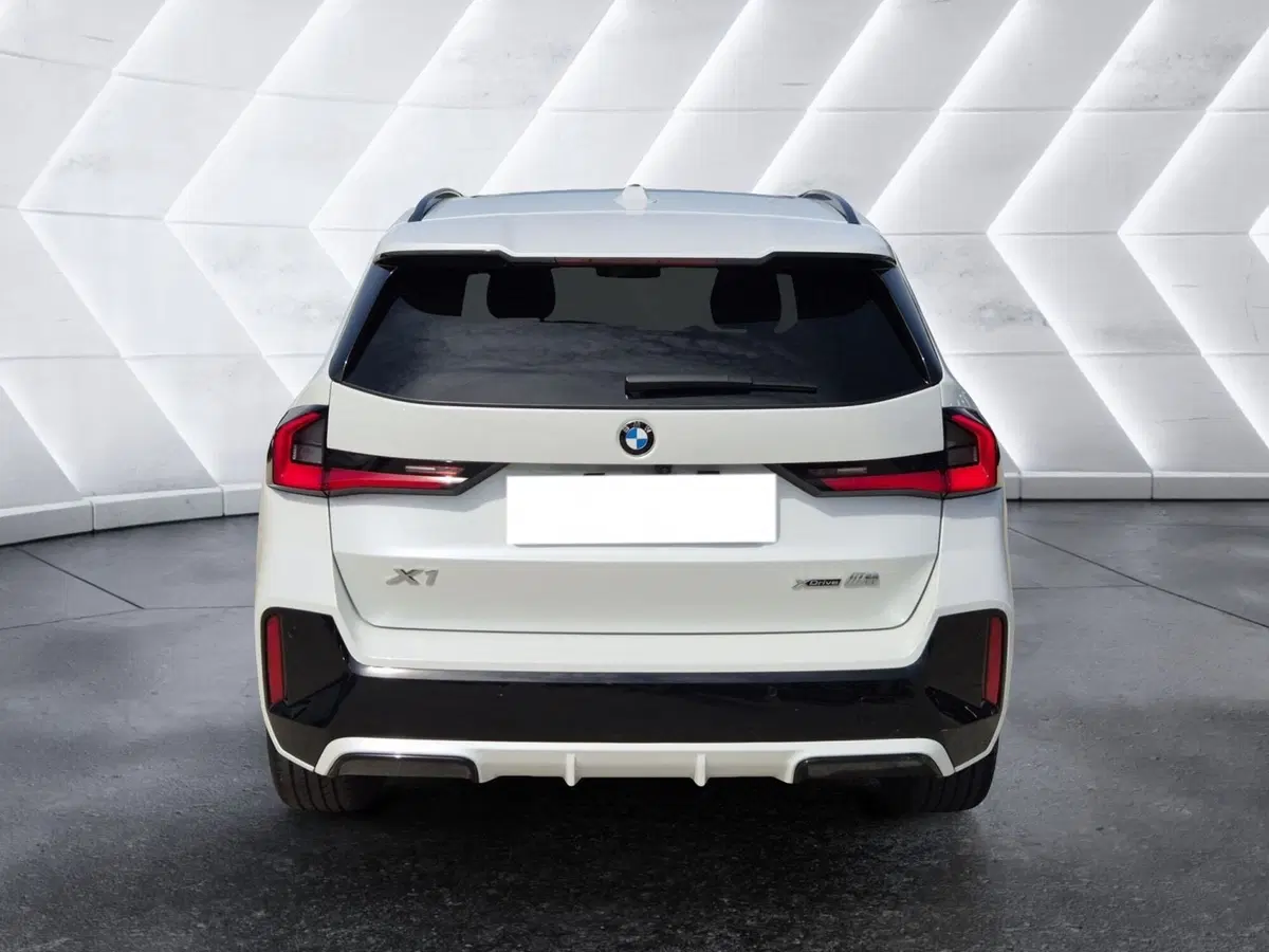 BMW X1 usata  (3)