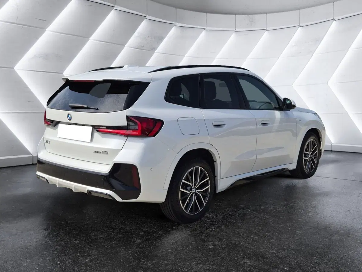 BMW X1 usata  (4)