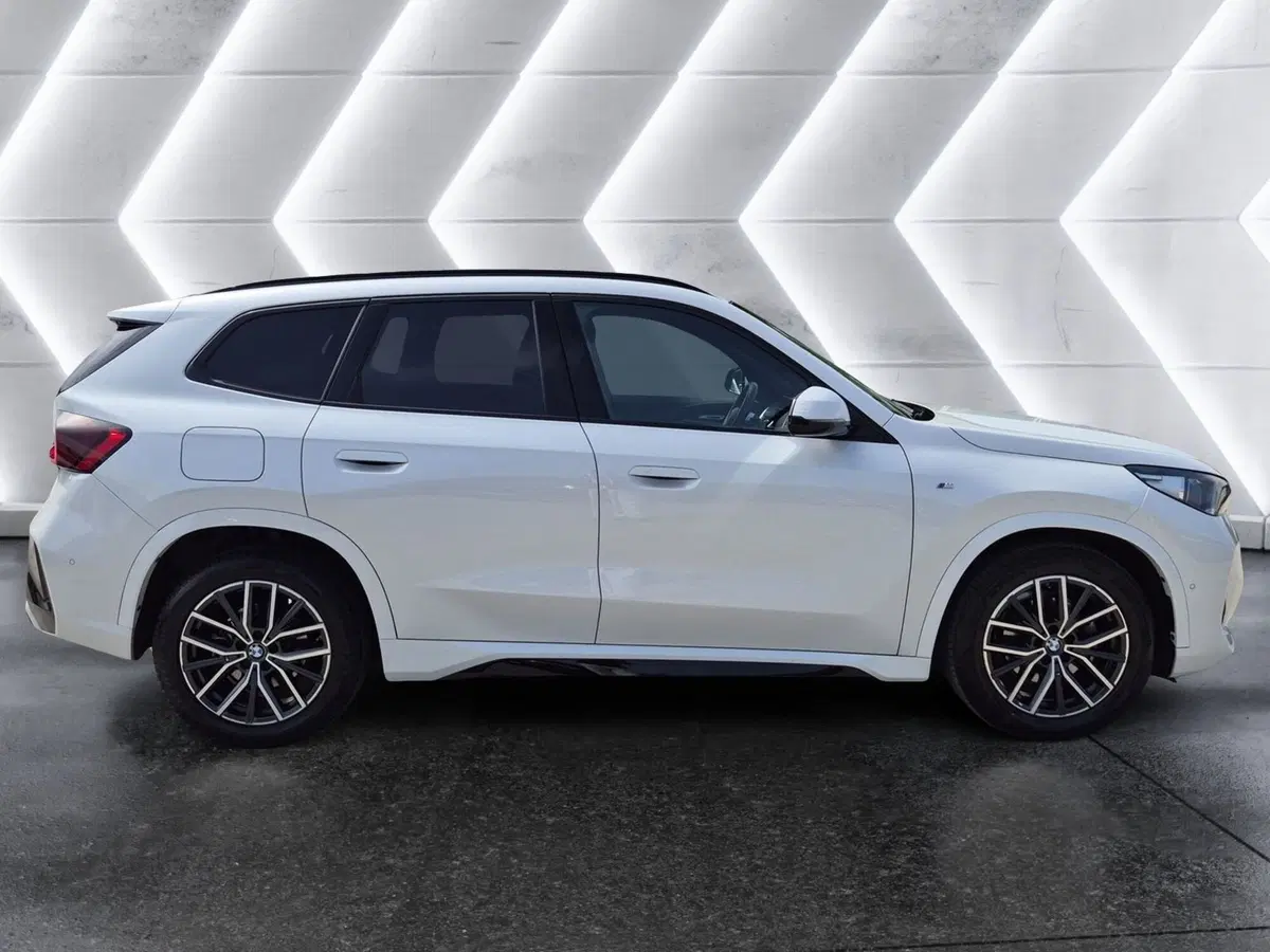 BMW X1 usata  (5)