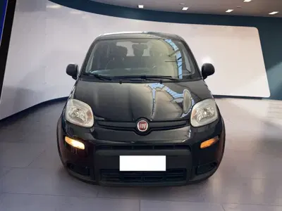Fiat Panda 1.0 firefly hybrid s&amp;s 70cv 5p.ti del 2023 usata a Torino