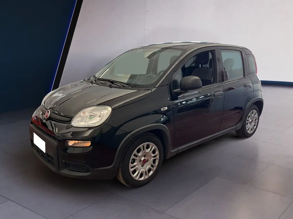 Fiat Panda usata a Torino (2)