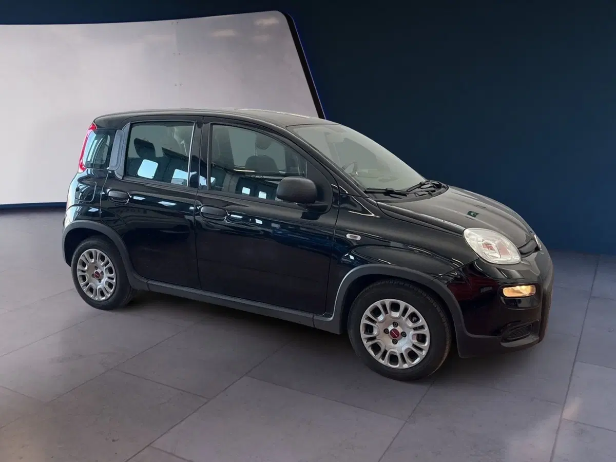 Fiat Panda usata a Torino (3)
